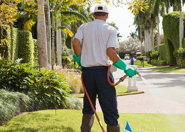 About West TX Pest Control Pros